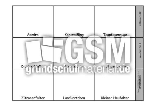 Leporello-Schmetterlinge-2.pdf